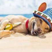 ヒメ日記 2025/08/30 14:07 投稿 いつき☆S級最高峰熟女 AQUA（辻）