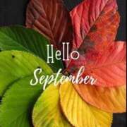 ヒメ日記 2025/09/02 09:06 投稿 いつき☆S級最高峰熟女 AQUA（辻）