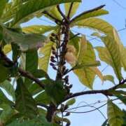 ヒメ日記 2025/09/27 08:56 投稿 いつき☆S級最高峰熟女 AQUA（辻）