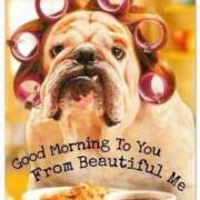 ヒメ日記 2025/11/21 10:36 投稿 いつき☆S級最高峰熟女 AQUA（辻）