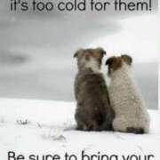 ヒメ日記 2026/01/21 09:37 投稿 いつき☆S級最高峰熟女 AQUA（辻）