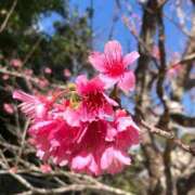 ヒメ日記 2026/01/27 10:26 投稿 いつき☆S級最高峰熟女 AQUA（辻）