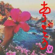 ヒメ日記 2026/02/03 18:06 投稿 いつき☆S級最高峰熟女 AQUA（辻）