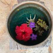 ヒメ日記 2026/02/08 09:46 投稿 いつき☆S級最高峰熟女 AQUA（辻）