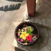 ヒメ日記 2026/02/21 09:56 投稿 いつき☆S級最高峰熟女 AQUA（辻）