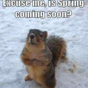 ヒメ日記 2026/02/22 09:36 投稿 いつき☆S級最高峰熟女 AQUA（辻）