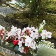 ヒメ日記 2026/03/20 10:16 投稿 いつき☆S級最高峰熟女 AQUA（辻）