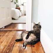 ヒメ日記 2026/03/24 11:16 投稿 いつき☆S級最高峰熟女 AQUA（辻）