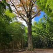 ヒメ日記 2026/04/10 09:46 投稿 いつき☆S級最高峰熟女 AQUA（辻）