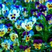 あんり☆S級長身癒し系美女！ 今日はお休みでした☆ AQUA（辻）