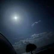 ヒメ日記 2026/01/30 23:56 投稿 ねね☆ロリ系むっちりBODY AQUA（辻）