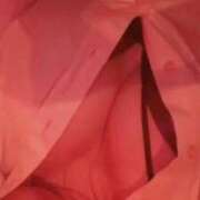 ヒメ日記 2026/03/11 13:56 投稿 ねね☆ロリ系むっちりBODY AQUA（辻）