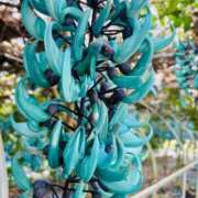 ヒメ日記 2025/04/18 03:07 投稿 はづき♡SS級極上の癒し系美女◆ CURE（辻）