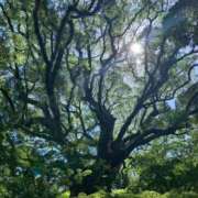 ヒメ日記 2025/09/06 22:37 投稿 はづき♡SS級極上の癒し系美女◆ CURE（辻）