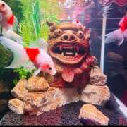 ヒメ日記 2025/09/07 10:17 投稿 はづき♡SS級極上の癒し系美女◆ CURE（辻）