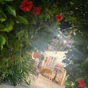 ヒメ日記 2025/11/05 08:37 投稿 はづき♡SS級極上の癒し系美女◆ CURE（辻）