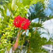 ヒメ日記 2025/11/10 22:27 投稿 はづき♡SS級極上の癒し系美女◆ CURE（辻）