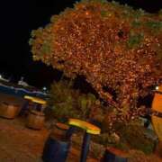 はづき♡SS級極上の癒し系美女◆ お礼♡ CURE（辻）