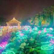 ヒメ日記 2025/12/24 22:27 投稿 はづき♡SS級極上の癒し系美女◆ CURE（辻）