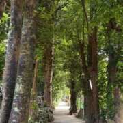 はづき♡SS級極上の癒し系美女◆ ごめんなさい🥹🙏 CURE（辻）