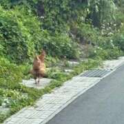 ヒメ日記 2026/01/29 19:07 投稿 はづき♡SS級極上の癒し系美女◆ CURE（辻）