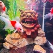 はづき♡SS級極上の癒し系美女◆ あ痛たたたダダダダ～( ´•̥̥̥ω•̥̥̥`) CURE（辻）