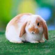 ヒメ日記 2025/03/23 06:27 投稿 みのり♡SS級モデル美女 CURE（辻）