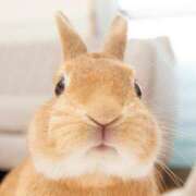 ヒメ日記 2025/04/13 06:07 投稿 みのり♡SS級モデル美女 CURE（辻）