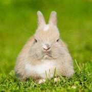 ヒメ日記 2025/05/25 12:57 投稿 みのり♡SS級モデル美女 CURE（辻）