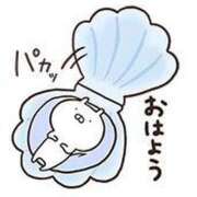 ヒメ日記 2025/06/06 05:07 投稿 みのり♡SS級モデル美女 CURE（辻）