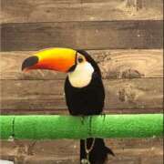 ヒメ日記 2025/06/08 05:27 投稿 みのり♡SS級モデル美女 CURE（辻）