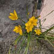 ヒメ日記 2025/07/28 19:27 投稿 みのり♡SS級モデル美女 CURE（辻）