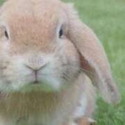 ヒメ日記 2025/08/31 04:57 投稿 みのり♡SS級モデル美女 CURE（辻）