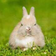 ヒメ日記 2025/10/26 03:17 投稿 みのり♡SS級モデル美女 CURE（辻）