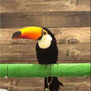 ヒメ日記 2025/11/21 13:17 投稿 みのり♡SS級モデル美女 CURE（辻）