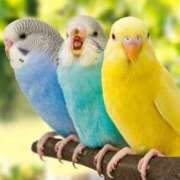 ヒメ日記 2025/12/05 15:27 投稿 みのり♡SS級モデル美女 CURE（辻）