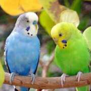 ヒメ日記 2025/12/05 15:46 投稿 みのり♡SS級モデル美女 CURE（辻）