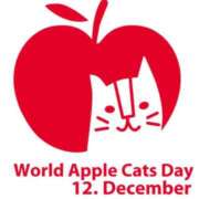 ヒメ日記 2025/12/12 08:17 投稿 みのり♡SS級モデル美女 CURE（辻）