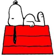 ヒメ日記 2026/01/11 20:17 投稿 みのり♡SS級モデル美女 CURE（辻）