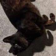 ヒメ日記 2026/01/21 05:47 投稿 みのり♡SS級モデル美女 CURE（辻）