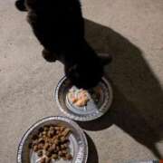 ヒメ日記 2026/01/25 19:17 投稿 みのり♡SS級モデル美女 CURE（辻）