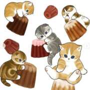 ヒメ日記 2026/02/12 04:07 投稿 みのり♡SS級モデル美女 CURE（辻）