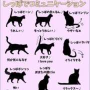 ヒメ日記 2026/02/12 22:17 投稿 みのり♡SS級モデル美女 CURE（辻）