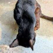 ヒメ日記 2026/02/15 19:47 投稿 みのり♡SS級モデル美女 CURE（辻）