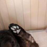 ヒメ日記 2026/03/01 21:07 投稿 みのり♡SS級モデル美女 CURE（辻）