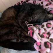 ヒメ日記 2026/03/03 16:57 投稿 みのり♡SS級モデル美女 CURE（辻）