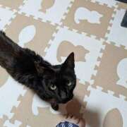 ヒメ日記 2026/03/12 13:27 投稿 みのり♡SS級モデル美女 CURE（辻）