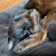 ヒメ日記 2026/03/22 21:57 投稿 みのり♡SS級モデル美女 CURE（辻）