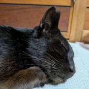 ヒメ日記 2026/03/29 19:37 投稿 みのり♡SS級モデル美女 CURE（辻）