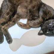 ヒメ日記 2026/04/01 07:07 投稿 みのり♡SS級モデル美女 CURE（辻）